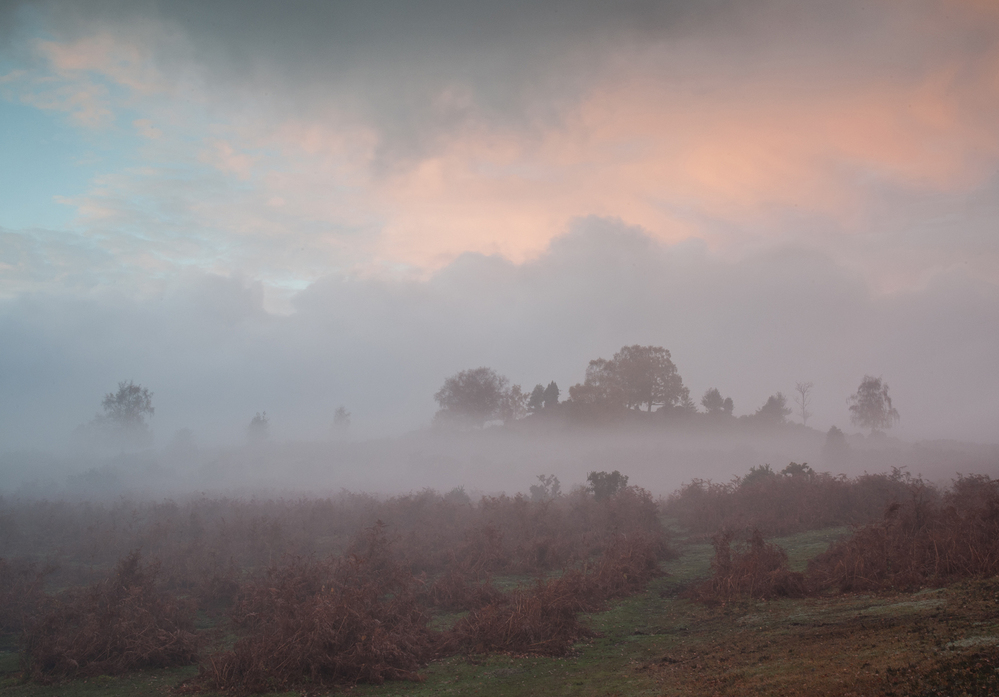 Autumn Stagbury Hill Mist